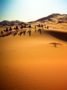 Digte fra Vestsahara